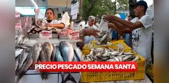 Precios del pescado en Semana Santa 2023: revisa las ofertas de la feria Venezuela come pescado Precios del pescado en Semana Santa 2023: revisa las ofertas de la feria Venezuela come pescado