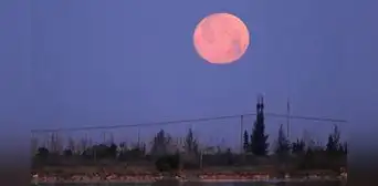 Luna rosa 2023: dónde y cuándo se verá la luna llena de abril Luna rosa 2023: dónde y cuándo se verá la luna llena de abril