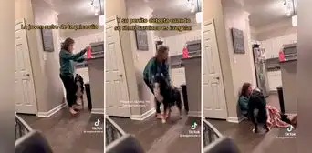 “Qué hermoso”: perrito ayuda a joven que sufre de taquicardia y es elogiado por muchos en TikTok