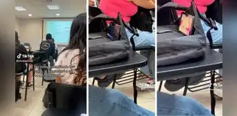 Universitario ve "Esto es guerra" en plena clase y deja en shock a su compañera: “Desaprendiendo” Universitario ve "Esto es guerra" en plena clase y deja en shock a su compañera: “Desaprendiendo”