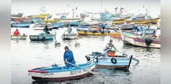 Se abre paso actualización de la Ley General de Pesca