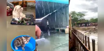 Albergue de perritos en peligro tras intensas lluvias en Piura