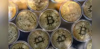 El camino bitcoin