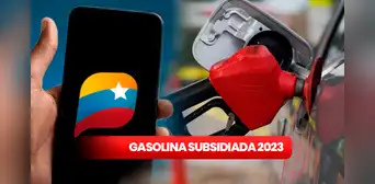 Guía fácil para registrar tu vehículo en Sistema Patria y recibir gasolina subsidiada