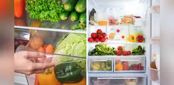 ¿Cuál es la forma correcta de distribuir los alimentos en el refrigerador para que duren más tiempo?