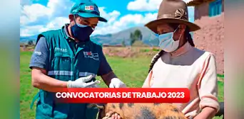¿Buscas trabajo? Senasa brinda empleos con sueldos desde 2.064 soles ¿Buscas trabajo? Senasa brinda empleos con sueldos desde 2.064 soles