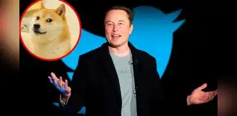 Doge invade Twitter: ¿por qué Elon Musk ha incluido al popular meme en su red social? Doge invade Twitter: ¿por qué Elon Musk ha incluido al popular meme en su red social?