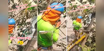 Técnico de Movistar sube a árbol de pacay a conectar cables y aprovecha para comerse los frutos Técnico de Movistar sube a árbol de pacay a conectar cables y aprovecha para comerse los frutos