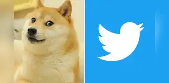 ¿Quién es el perrito 'Doge', la mascota que ahora es el logo de Twitter?