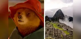 "Paddington en Perú": ¿cómo nació la historia del osito y cuándo filmarán su tercera película?