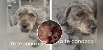 Joven ve un perrito parecido al de "El narrador de cuentos" y se emociona: "Yo te conozco"