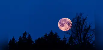 Luna rosa 2023: a qué hora se ve la luna llena de abril y por qué se llama así Luna rosa 2023: a qué hora se ve la luna llena de abril y por qué se llama así