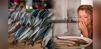 ¿Cómo hacer para conservar el pescado en la refrigeradora y dure más tiempo? ¿Cómo hacer para conservar el pescado en la refrigeradora y dure más tiempo?