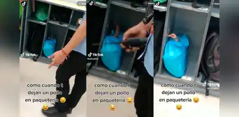 Seguridad de establecimiento queda en shock al ver que dejaron un pollo vivo en paquetería Seguridad de establecimiento queda en shock al ver que dejaron un pollo vivo en paquetería