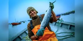 Ruta del pescado: ¿dónde encuentro productos marinos y a precios bajos en Semana Santa?