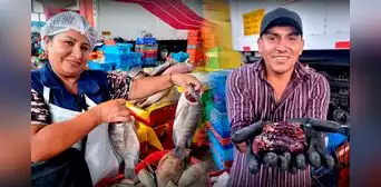 Semana Santa 2023: conoce el precio de los pescados en los principales terminales de Lima