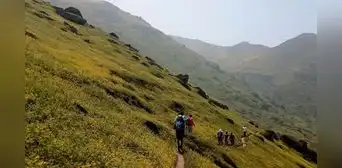 SJL: denuncian que traficantes de terreno invadieron 400 hectáreas de lomas de Mangomarca SJL: denuncian que traficantes de terreno invadieron 400 hectáreas de lomas de Mangomarca