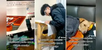 Joven trasnocha con su perrito por tareas universitarias y hace promesa: "Seremos arquitectos" Joven trasnocha con su perrito por tareas universitarias y hace promesa: "Seremos arquitectos"