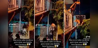 Video muestra cómo familia crea un arnés para ayudar a subir a su perro