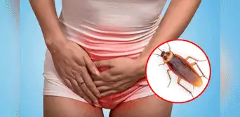 Encuentran una cucaracha en la vagina de una mujer que se sentía “extremadamente extraña" Encuentran una cucaracha en la vagina de una mujer que se sentía “extremadamente extraña"