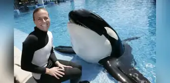 La triste historia de la entrenadora que fue asesinada por la orca que adiestró durante varios años La triste historia de la entrenadora que fue asesinada por la orca que adiestró durante varios años
