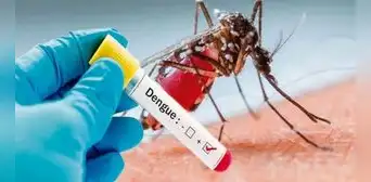 Argentina: más de 28,000 casos de dengue y chikungunya hasta la fecha Argentina: más de 28,000 casos de dengue y chikungunya hasta la fecha