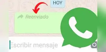 WhatsApp: ¿cómo mandar un mensaje sin que aparezca la etiqueta de reenviado? WhatsApp: ¿cómo mandar un mensaje sin que aparezca la etiqueta de reenviado?