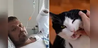 El dramático caso de Henrik: ¿cómo una mordedura de su gato le quitó la vida tras 4 años? El dramático caso de Henrik: ¿cómo una mordedura de su gato le quitó la vida tras 4 años?