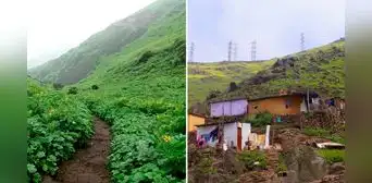 Traficantes de terrenos amenazan de muerte a defensores de las lomas en Lima Traficantes de terrenos amenazan de muerte a defensores de las lomas en Lima
