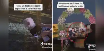 Novios eligen a su perrito como testigo de boda y can ‘firma’ con su huella: “No estoy llorando”