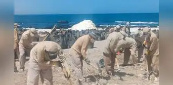 Recolectan guano de isla en Moquegua para entregar a agricultores Recolectan guano de isla en Moquegua para entregar a agricultores