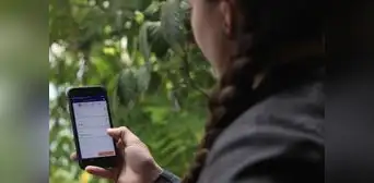 Pagos digitales en Perú se quintuplicaron en 7 años, pero aún seguimos últimos en la región Pagos digitales en Perú se quintuplicaron en 7 años, pero aún seguimos últimos en la región