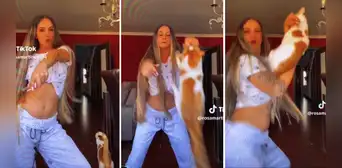 Gato 'volador' sorprende al dar tremendo salto mientras su dueña graba un TikTok Gato 'volador' sorprende al dar tremendo salto mientras su dueña graba un TikTok