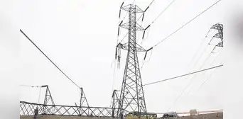 Control chino sobre mercado eléctrico pende del Indecopi