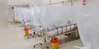 Piura registra más de 9.200 casos de dengue Piura registra más de 9.200 casos de dengue