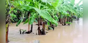 Debido a las intensas lluvias en Piura, alcalde advierte hambruna y escasez de alimentos Debido a las intensas lluvias en Piura, alcalde advierte hambruna y escasez de alimentos