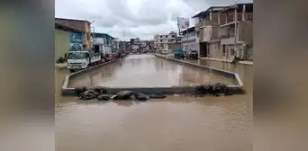 Río Tumbes se desborda en el centro de la ciudad tras crecida del caudal