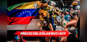 Precio del dólar BCV HOY, sábado 15 de abril: tasa oficial según Banco Central de Venezuela Precio del dólar BCV HOY, sábado 15 de abril: tasa oficial según Banco Central de Venezuela