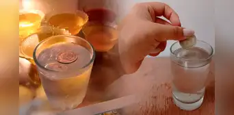 ¿Por qué deberías poner un vaso con agua congelada y una moneda en tu refrigeradora si vas de viaje?