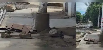 Perro muere electrocutado cuando intentaba orinar en poste de luz en Piura Perro muere electrocutado cuando intentaba orinar en poste de luz en Piura