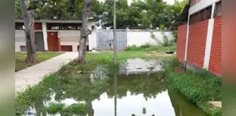Mas de 1.000 estudiantes escuchan sus clases rodeados de aguas residuales en Tumbes Mas de 1.000 estudiantes escuchan sus clases rodeados de aguas residuales en Tumbes