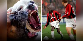 Philemon Mulala: ¿cómo el exfutbolista fue devorado por 3 perros que crio desde cachorros?
