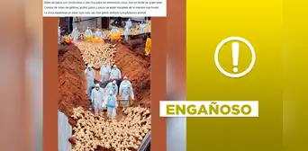 Foto de patos a punto de ser sacrificados no corresponde al brote de gripe aviar en 2023 Foto de patos a punto de ser sacrificados no corresponde al brote de gripe aviar en 2023
