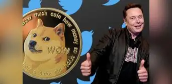 Dogecoin: Musk, acciones y el perrito de Twitter para una manipulación artificial del mercado Dogecoin: Musk, acciones y el perrito de Twitter para una manipulación artificial del mercado