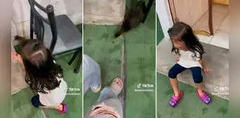 Niña llora desconsoladamente tras ver cómo su pollo se come a su grillo: “Qué maldad”