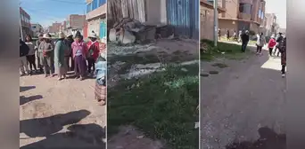 Ciudadanos denuncian envenenamiento de más de 10 canes en Juliaca Ciudadanos denuncian envenenamiento de más de 10 canes en Juliaca