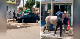 ¡Solo en Perú! Captan a lavacarros bañando un caballo en plena calle ¡Solo en Perú! Captan a lavacarros bañando un caballo en plena calle