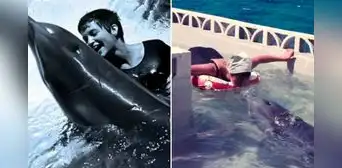 La triste historia de Peter, el delfín que se 'enamoró' de su entrenadora y murió por 'amor'