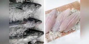 ¿Cómo mantener el sabor fresco de un pescado congelado? Aquí te contamos el truco ¿Cómo mantener el sabor fresco de un pescado congelado? Aquí te contamos el truco