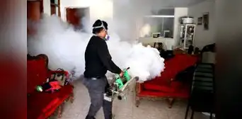 Preocupación por brotes de dengue en Chiclayo, donde se registra 204 casos Preocupación por brotes de dengue en Chiclayo, donde se registra 204 casos